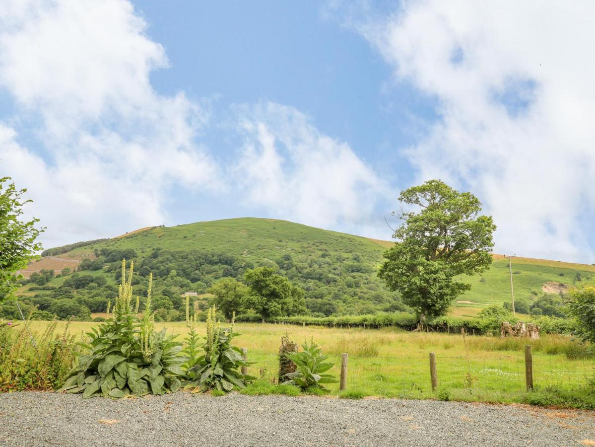 Byrdir Cottage Llanwrthwl エクステリア 写真